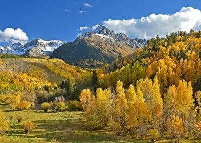 Press Release Elk Meadows