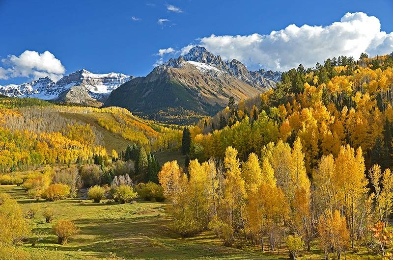 Press Release Elk Meadows